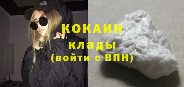 apvp Вяземский