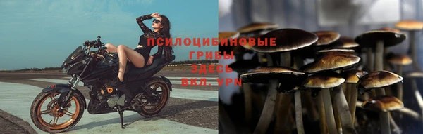 прущие крисы Горно-Алтайск