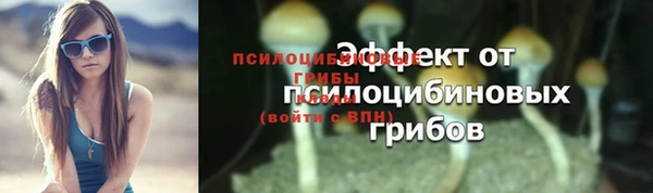 ALPHA-PVP Горняк