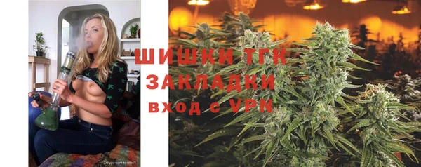 амф Сосновка